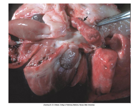 <p>What is this?</p>