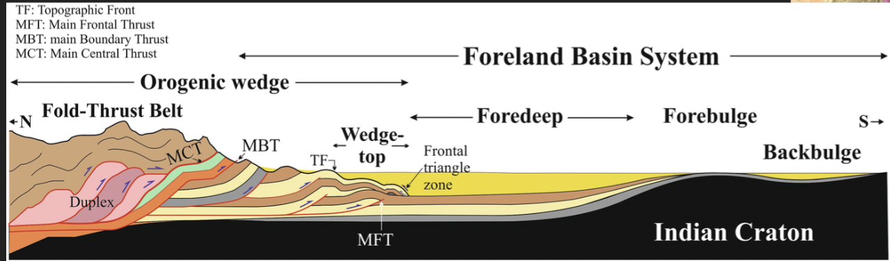 <ul><li><p>Foreland basins form parallel to mountain ranges</p></li><li><p>Crustal flexure from weight of the orogenic (mountain building) wedge</p><ul><li><p>Subsidence primarily driven by flexure of underlying plate from weight of overlying plate</p></li><li><p>Ex. forearc basins at volcanic arcs</p></li></ul></li></ul>