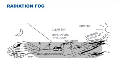 <p>Radiation fog.</p>