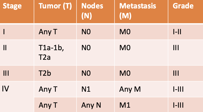 <p>based on TNM staging (tumor, lymph node, metastasis)</p>