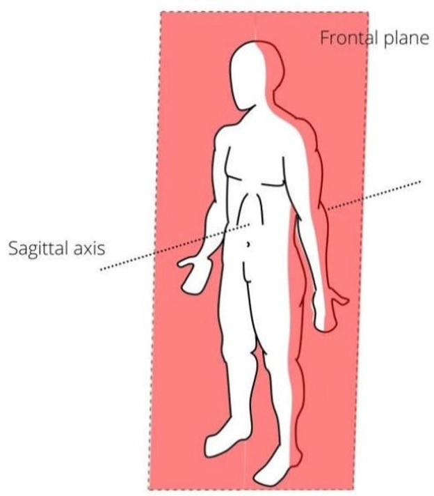 <p>Frontal Plane</p>