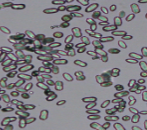 <p>What is this?</p>