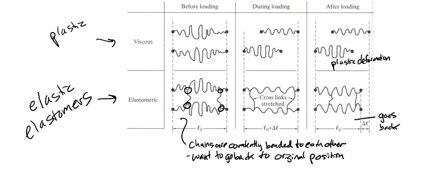 certain aspects of polymer composition and structure change deformation properties

* van der waals bonding bw chains
* steric hindrances (large R groups limit flexibility)
* primary chemical bonds bw chains (cross linking)