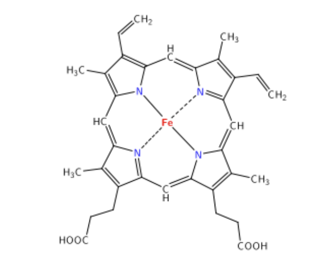 <p>Iron-chelated porphyrin ring </p><ul><li><p>non- amino acid portion of the protein made of flat tetrapyrrole ring with ferrous iron in the center</p></li></ul><p></p>