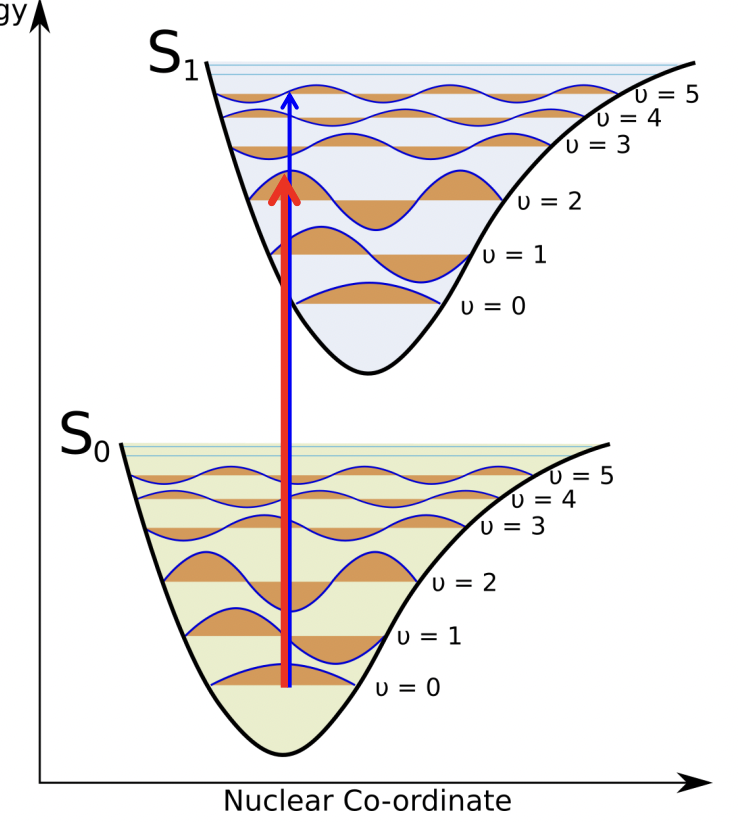<p>electronic transition probability is proportional to the <u>wavefunction</u> overlap of ground and excited state potentials </p><p>largest vibrational wavefunction overlap = strongest transition</p><p>(no effect on wavelength/colour of absorption) </p>