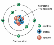 <p><span>. Didn’t propose a new atomic model himself, but contributed to refining the modern nuclear model of the atom</span></p><p class="MsoNormal"><span>. His discovery also provided crucial support for the Quantum Mechanical Model of the Atom</span></p>