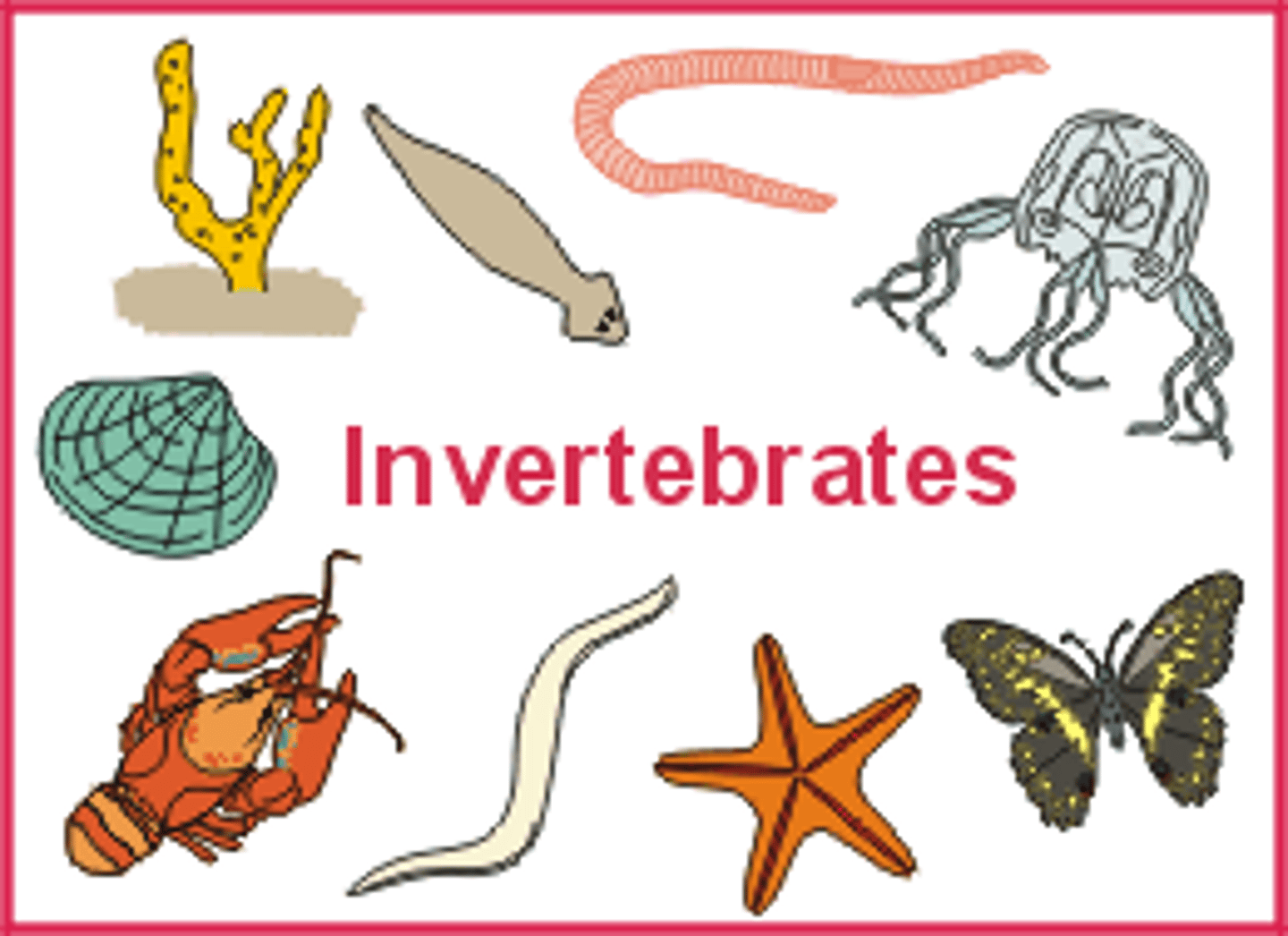 <p>• Most are isotonic with water they live in</p><p>• Osmoconformers</p>