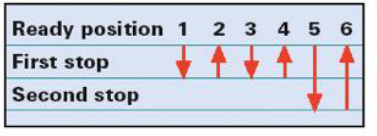 <p>Identify this type of pipetting technique:</p>