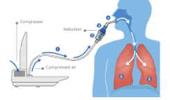 <p>(air-jet or air-blast) most widley used, cheaper than mesh, optimum flow rate of 6-8L/min, uses compressed air or oxygen in hospital or electical compressor at home</p>
