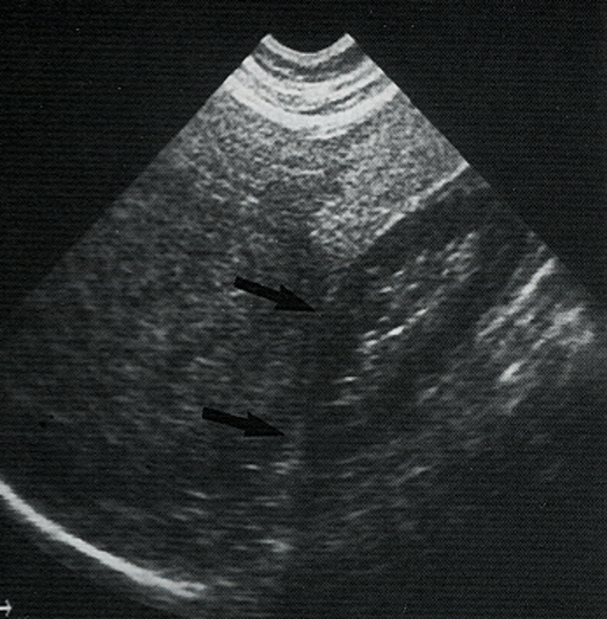<p>What is this image showing?</p>