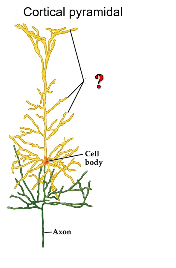 <p>Fill in label (labeled as “?”)</p>