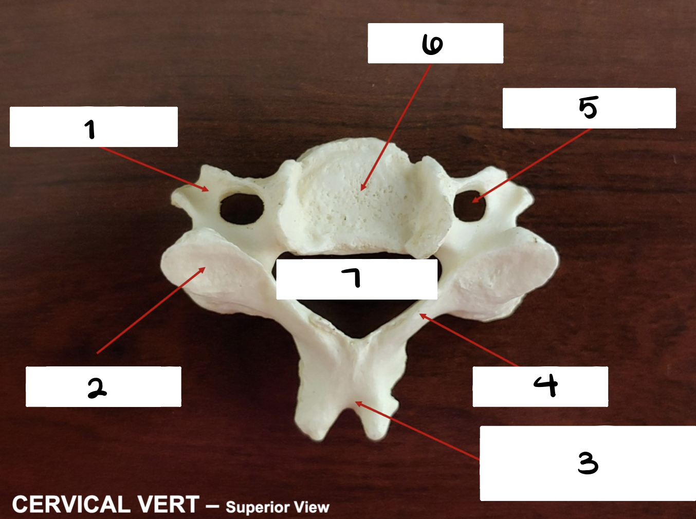 <p>what is 4</p>