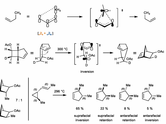 <ul><li><p>Methyl shifts of allylic methyl systems</p></li><li><p>Stereoinversion required, if a concerted thermal process</p></li><li><p>Usually occurs with strained systems (vinyl cyclopropane or vinylcyclobutane)</p></li></ul><p></p>