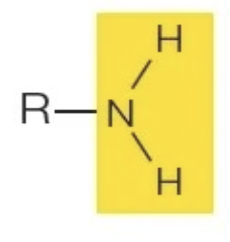 <p>R—NH<sub>2</sub></p>