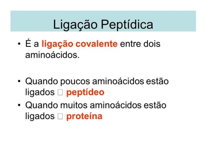 <p>d) ligações covalentes</p><p>A estrutura primária de uma proteína é mantida por ligações peptídicas covalentes</p>