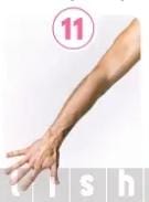 <p>Arm</p>