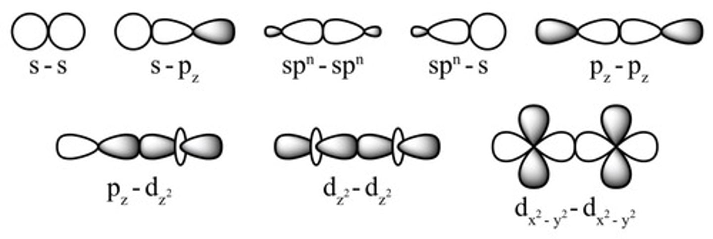 <p>Head-to-head overlap.</p>