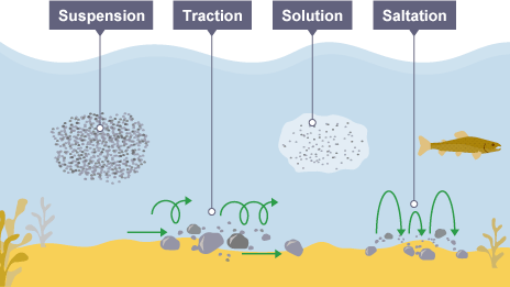 <p>-Traction - large, heavy pebbles are rolled along the river bed. This is most common near the source of a river, as here the load is larger.</p><p>-Saltation - pebbles are bounced along the river bed, most commonly near the source. Bedload like gravel or sand is sediment that moves along in un-permanent contract with the bed that is larger and heavier.</p><p>-Suspension - lighter sediment is suspended (carried) within the water, most commonly near the mouth of the river. Suspended particles such as silts and clay are the finest particles. </p><p>-Solution - the transport of dissolved chemicals. This varies along the river depending on the presence of soluble rocks. Dissolved load are minerals that have dissolved in the water, held in the water column.</p>