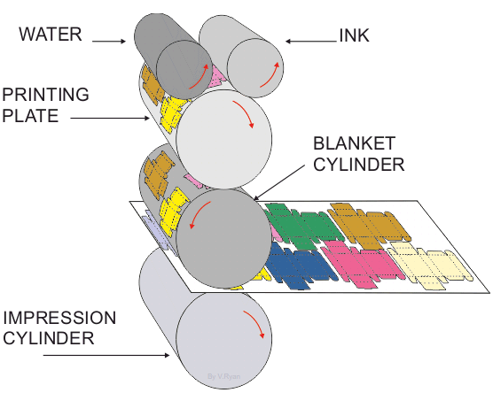 <p>1) design is laser etched onto a plate and loaded into the plate cylinder<br>2) the non-image area is dampened with water<br>3) oil based ink is transferred onto the image area of the plate cylinder<br>4) the plate cylinder offsets the image onto the blanket cylinder<br>5) the blanket cylinder then prints the image onto the surface, which is pulled through by the impression cylinder</p>