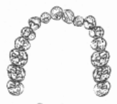 knowt flashcard image