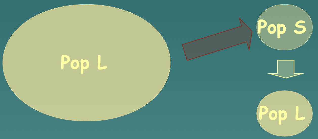 Due to this, the small population becomes more and more similar to the large population. Resulting in a loss of genetic identity for the small population.