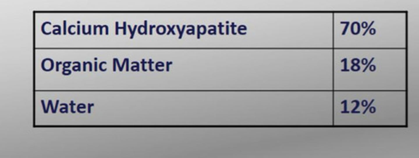<p>Dentine is</p>