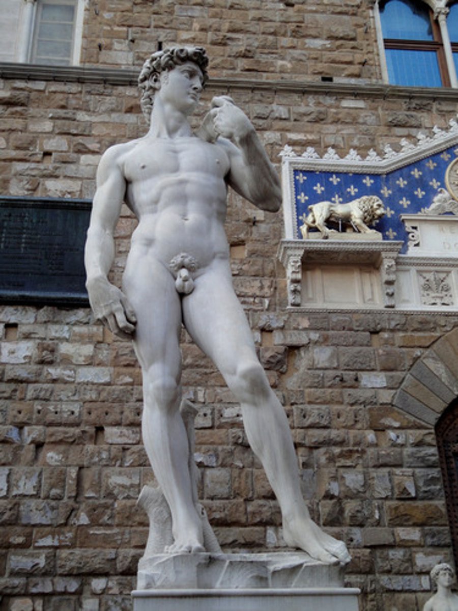 <p>art history</p>