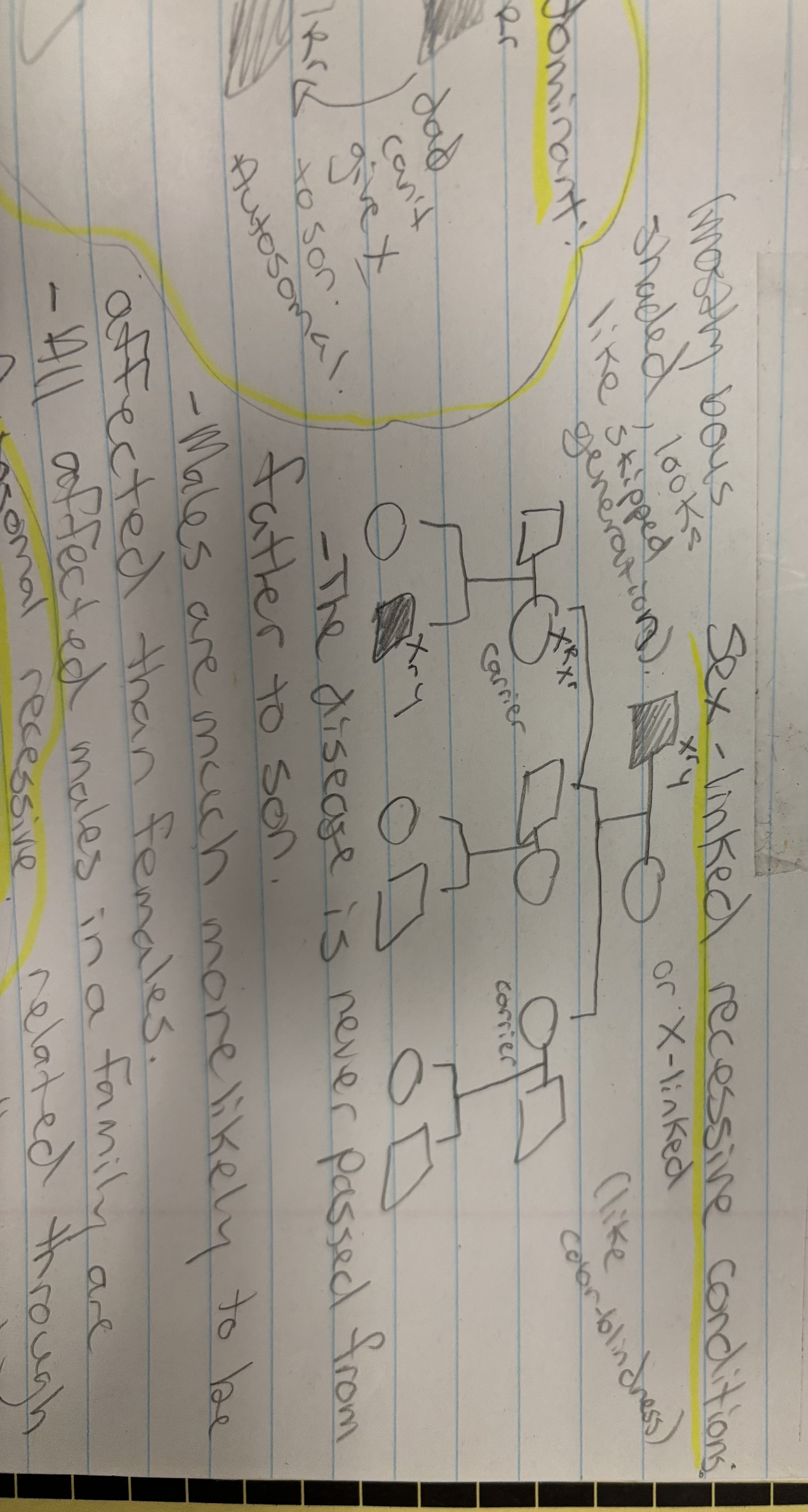 <p>Autosomal recessive and Sex-linked recessive</p>