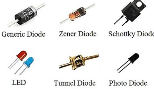 <ul><li><p>Generic Diodes</p></li><li><p>LEDs (Light Emitting Diodes)</p></li><li><p>Photodiodes</p></li><li><p>Zener Diodes</p></li></ul><p></p>