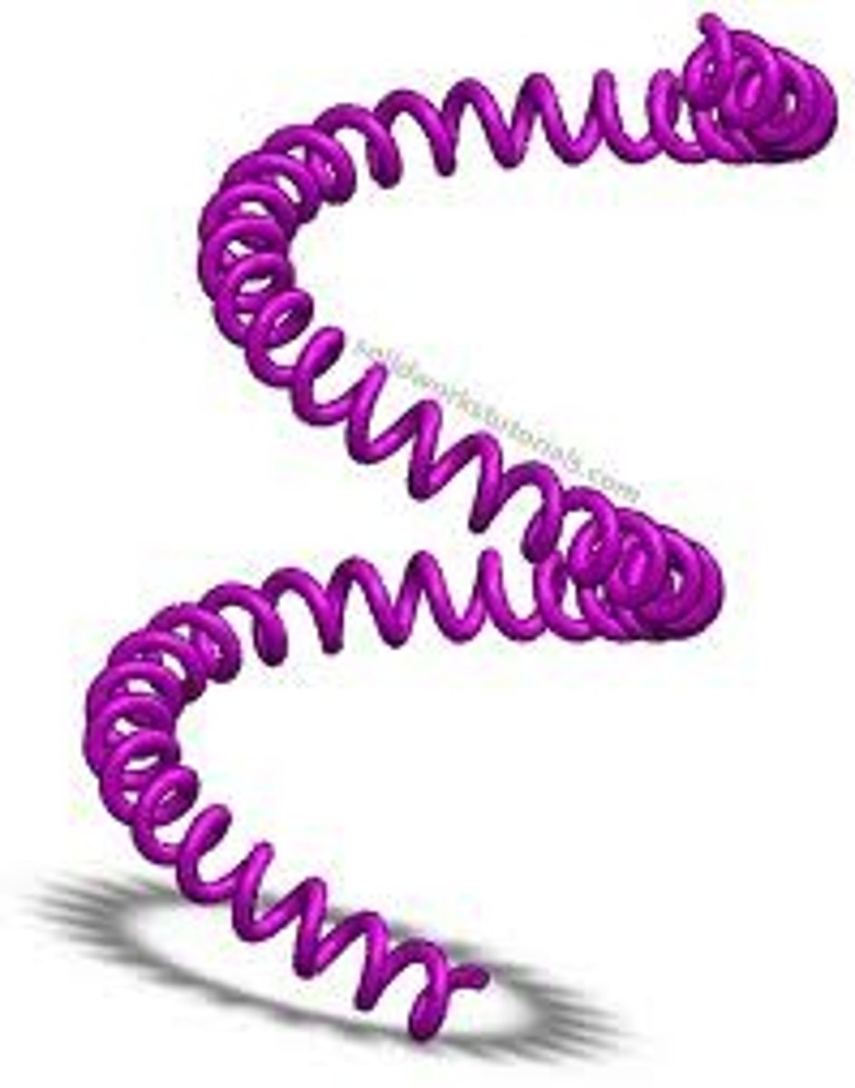 <p>to turn something, especially repeatedly, or to turn or wrap one thing around another (скручивать, разрушать кручением, искажать)<br><br>to distort / ________ facts — искажать факты<br><br>Don't ________ my words<br>Не перевирайте /искажайте/ мои слова.<br><br>He ________ed up the story.<br>Он всё перепутал.</p>