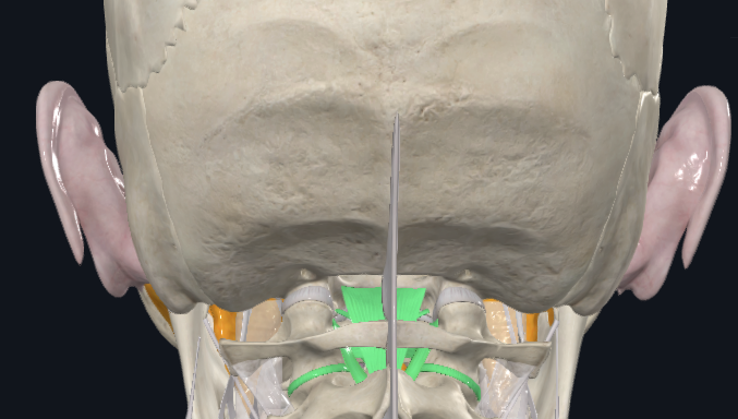 <p>What is highlighted green</p>