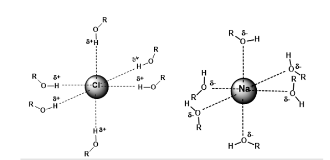 <ul><li><p>A solvent which possesses hydrogen attached to electronegative elements.</p><ul><li><p>i.e. water and methanol.</p></li></ul></li><li><p>They form hydrogen bonds and nucleophiles.</p></li><li><p>Protic solvents solvates anion.</p></li><li><p>Nucleophilicity is therefore decreased - energy is needed to strip off the solvent molecules.</p></li><li><p>The strong interaction between methanol (a polar protic solvent) and anion lowers its reactivity.</p></li></ul><p></p>