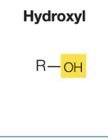 <p>Polar, forms hydrogen bonds with water.</p>