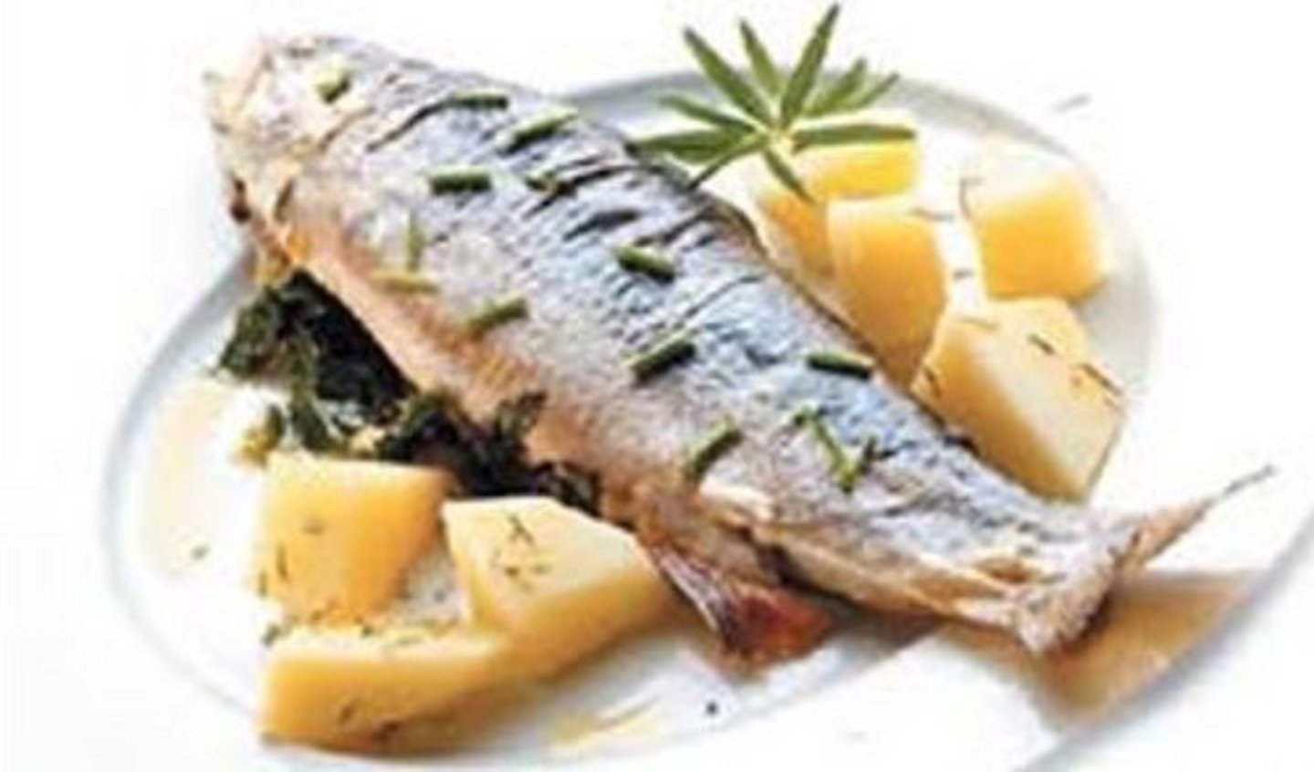<p>fish</p>