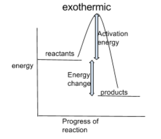 <p>Energy of reactants higher than energy of products (products have less energy than reactants because heat is released to surroundings)</p>