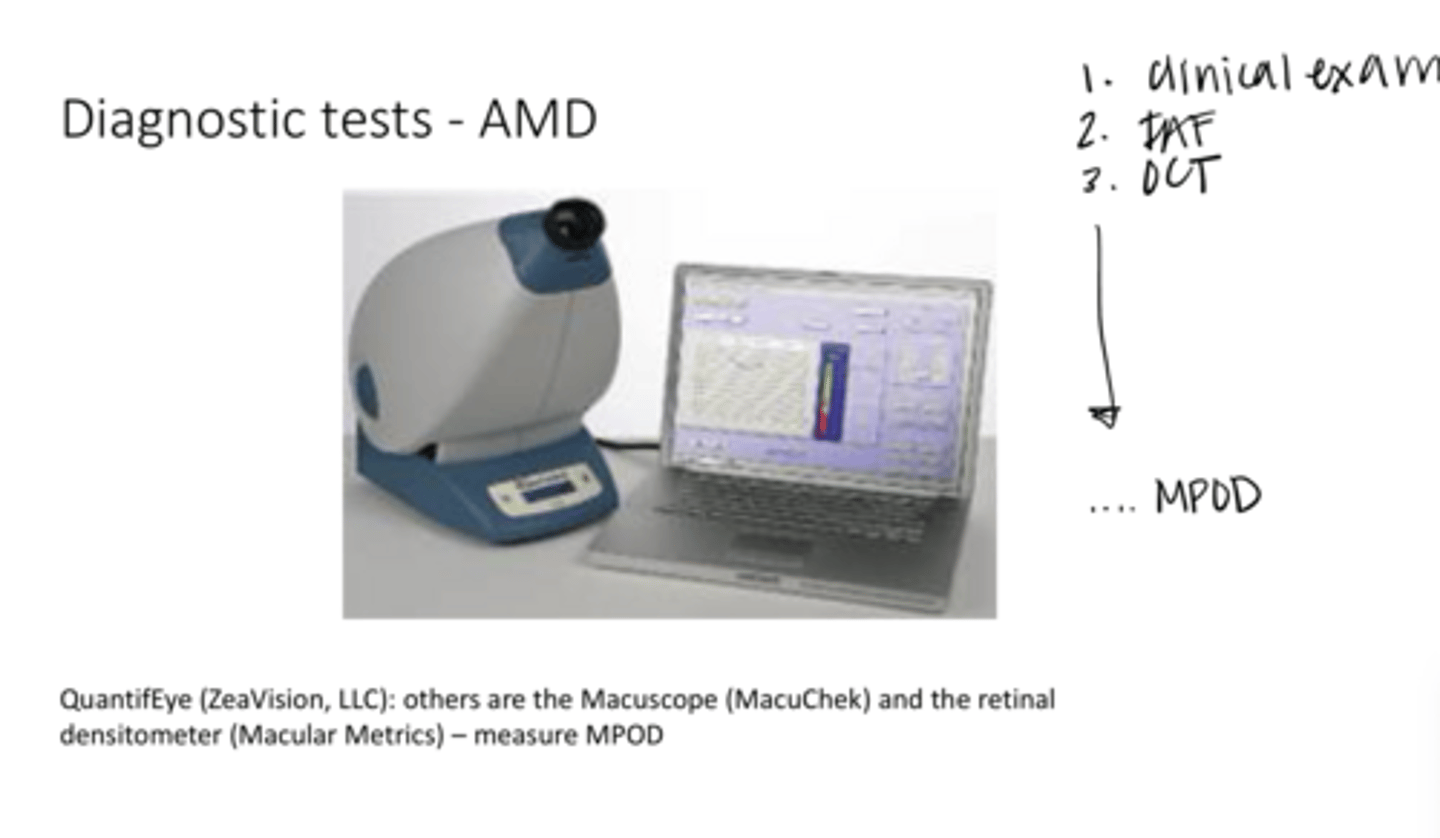 <p>Are there studies that suggest that AMD risk will increase with a lower MPOD score?</p>
