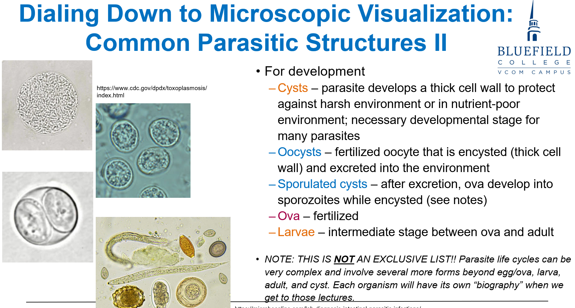 <p>D. Survive harsh conditions<br></p><p><strong>Cysts</strong> allow parasites to endure <strong>low-nutrient or hostile environments</strong> and facilitate <strong>transmission</strong>.</p>