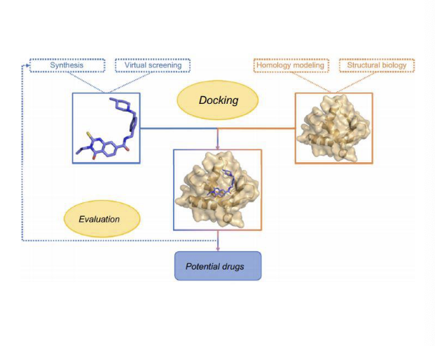 <p>computational structural prediction methods</p><ul><li><p>homology modeling </p><ul><li><p>to predict the structure of an <strong>unknown protein</strong> from <strong>existing homologous proteins</strong></p></li></ul></li><li><p>protein-ligand docking and virtual screening</p><ul><li><p>to predict and analyze the <strong>binding interactions</strong> between <u>small molecules</u> (ligands) and <u>proteins</u></p></li></ul></li></ul><p></p>