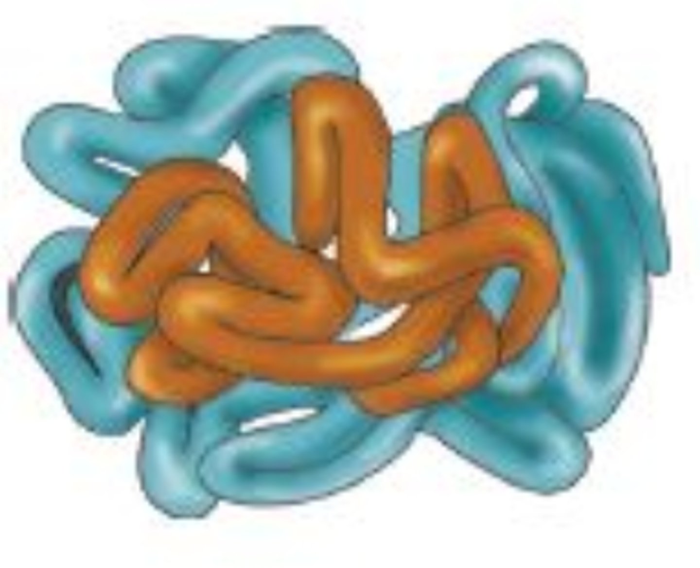 <p>multiple polypeptide chains</p>