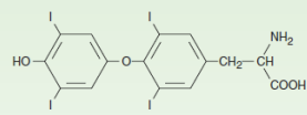 <p>Name the structure</p>