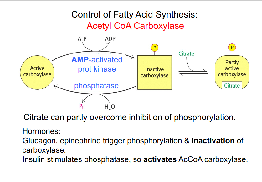 <p>DIAGRAM ON SLIDE 6 (whole slide)</p>