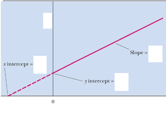 <p>fill in the blanks for Lineweaver-Burk double reciprocal plot</p>