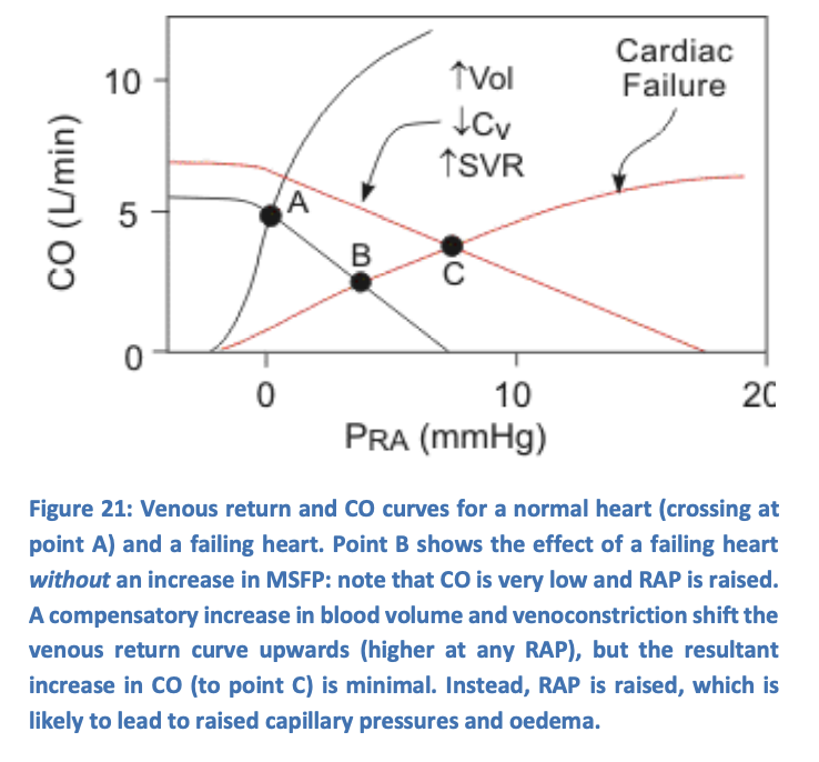 <ul><li><p><strong>normally</strong>→ TPR does not influence CO (starling mechanism)</p></li></ul><p><em>but this may not be true in failing heart:</em></p><ul><li><p>maintaining CO with increased TPR requires an increase in cardiac worka</p></li></ul><p><em>similarly</em></p><ul><li><p>CO is normally limited by the heart</p></li><li><p>THEREFORE</p></li><li><p>raising MSFP will <strong>not produce</strong> a significant increase in CO</p><ul><li><p>→ INSTEAD: cause <strong>atrial pressure to rise</strong></p></li></ul></li></ul><p></p>