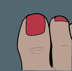 <p>toes</p>
