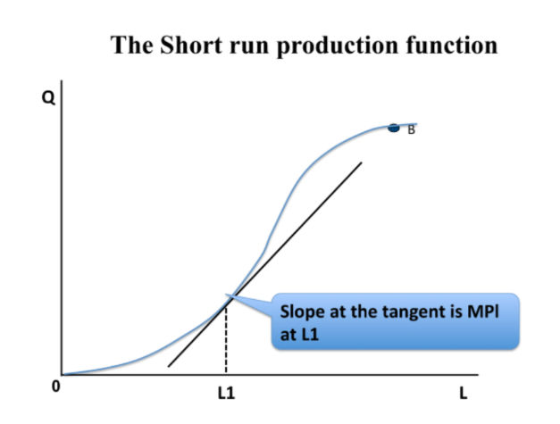 <p>slope of the production function at a given level of labour input</p>