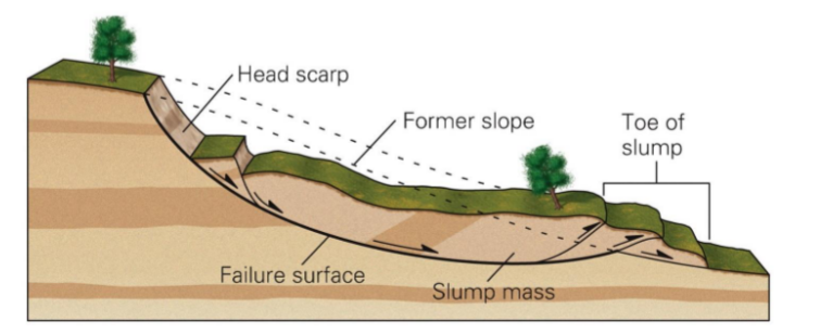 <ul><li><p>failure along a surface</p></li><li><p>takes place in think unconsolidated deposits</p></li><li><p>referred to as a rotational slide</p><ul><li><p>portion or block of the slope ‘slides’ down as it ‘rotates’ around an axis parallel to the slope</p></li></ul></li></ul>