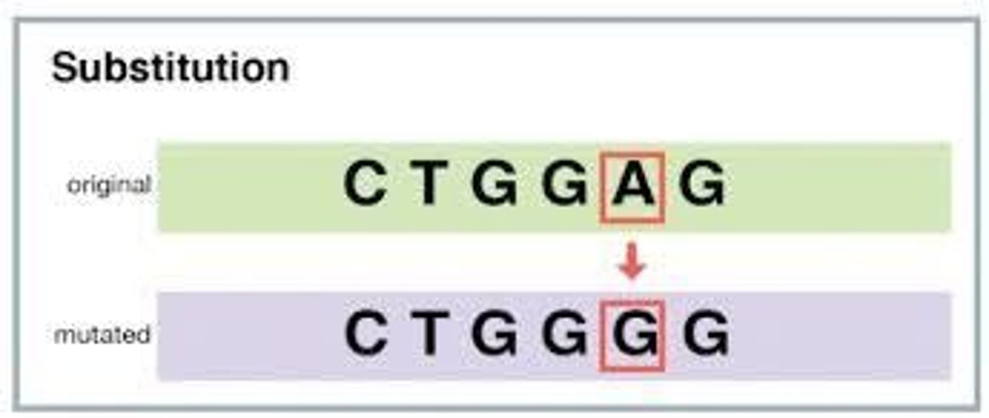 <p>In a substitution, one base is changed to a different base (Example: adenine replaced by guanine)</p>