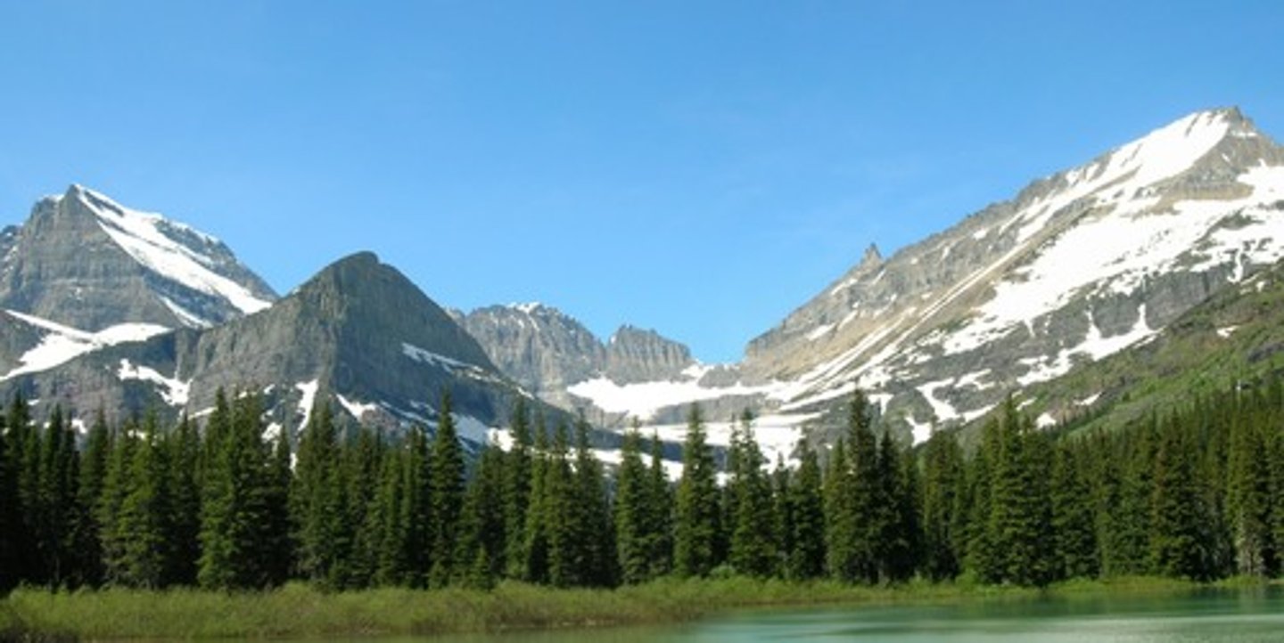 <p>Montana</p>