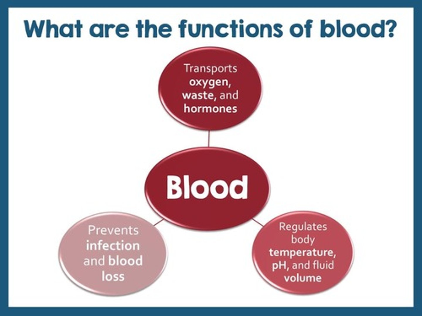 <p>Transport (O2, CO2, nutrients, metabolic waste, hormones, cells), Protection (WBC, antibodies, inflammation, platelets), and regulation (fluid balance, pH, body temp)</p>