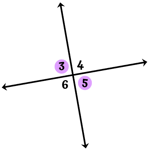 <p>A pair of non-adjacent angles formed by two intersecting lines</p>